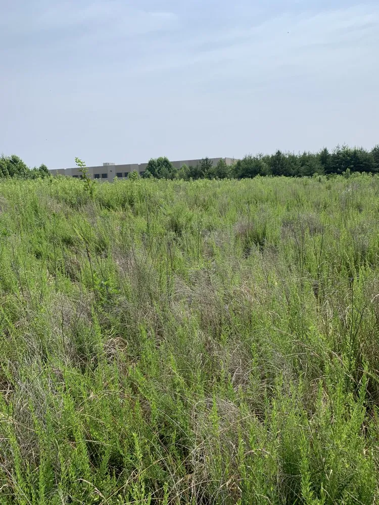 Trusted landscaping services in Winston-Salem, NC - Rigid Property Maintenance
