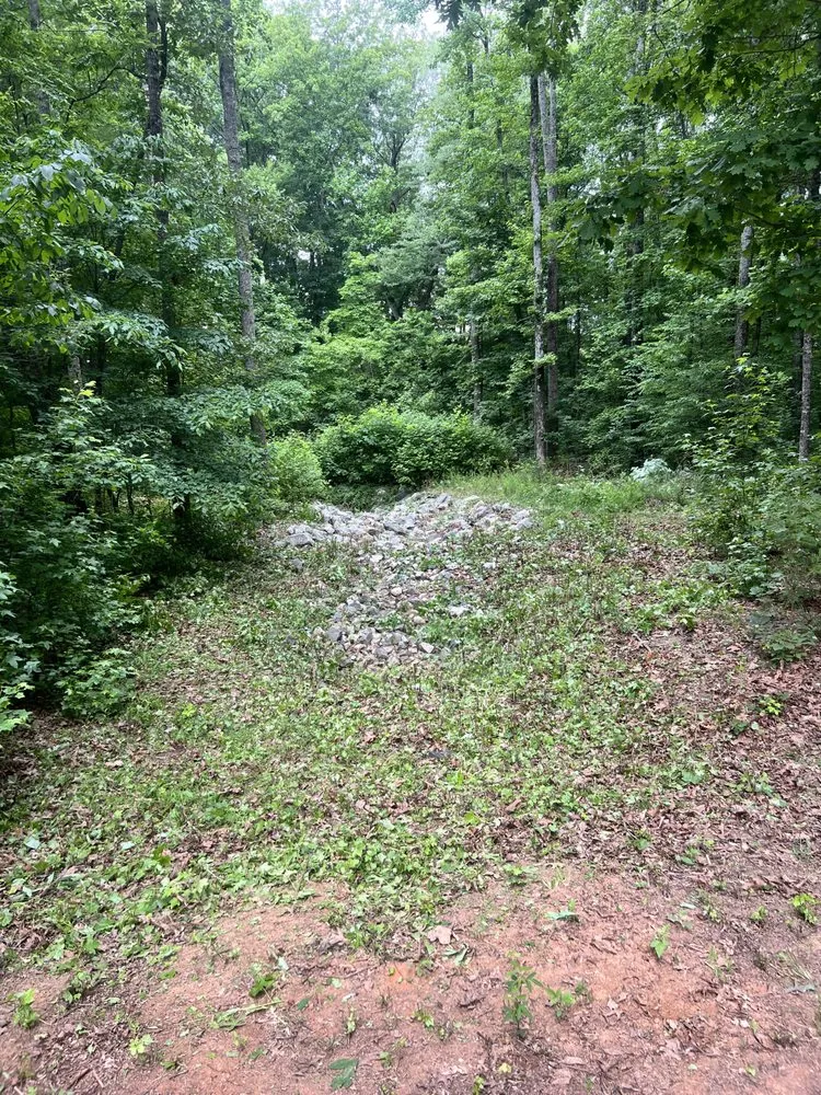 Local yard cleanup service in Winston-Salem, NC by Rigid Property Maintenance