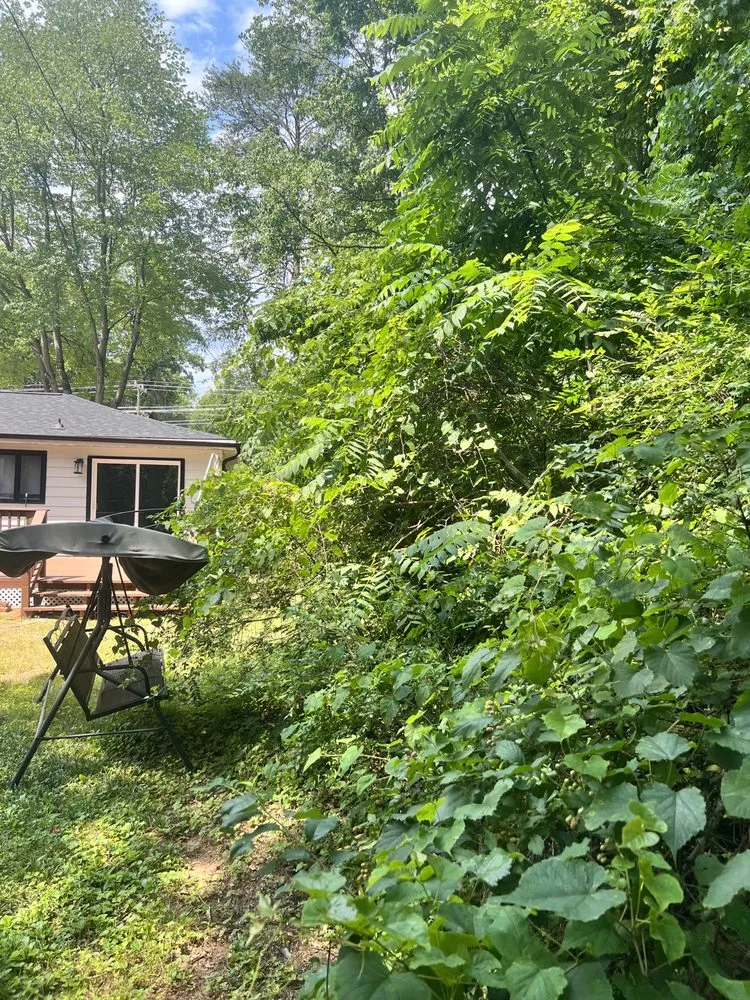 Local landscape design for homes in Winston-Salem, NC by Rigid Property Maintenance