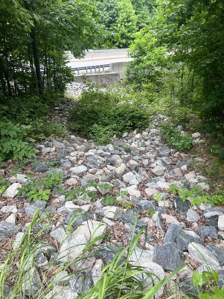 Professional residential landscaping in Winston-Salem, NC - Rigid Property Maintenance