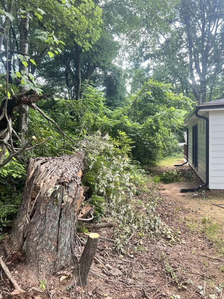 Top-rated yard cleanup service experts serving Winston-Salem, NC - Rigid Property Maintenance