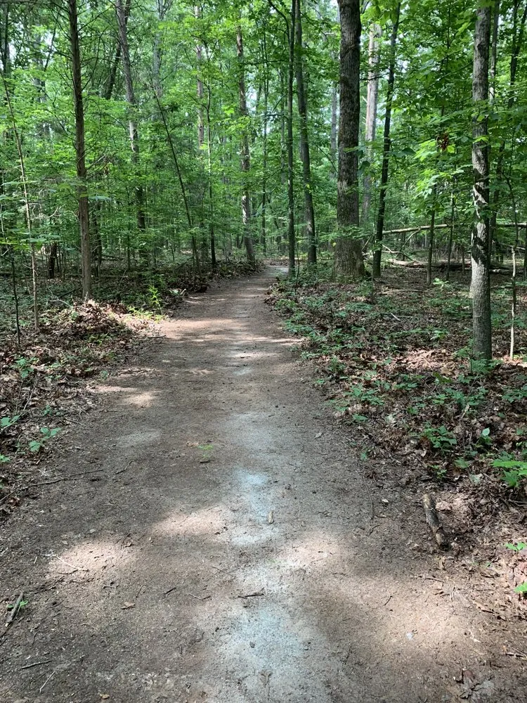 Local residential landscaping experts serving Winston-Salem, NC - Rigid Property Maintenance