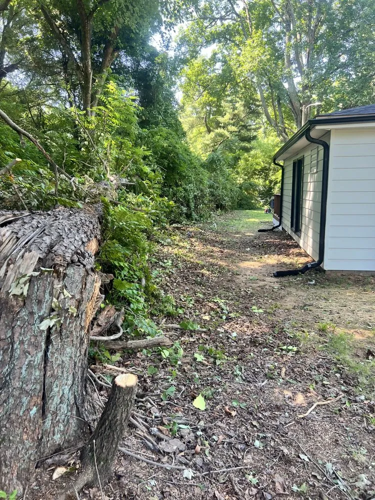 Professional landscape design in Winston-Salem, NC - Rigid Property Maintenance
