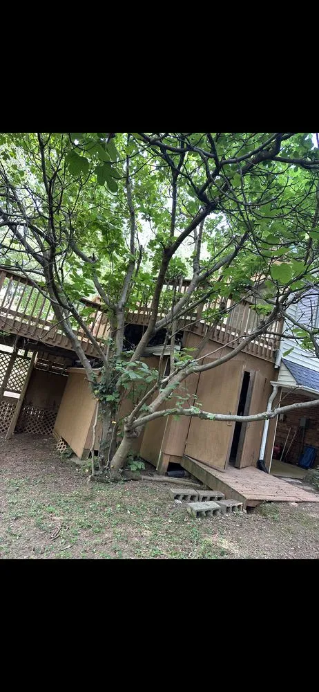 Professional garden landscaping for year-round maintenance across Winston-Salem, NC - Rigid Property Maintenance