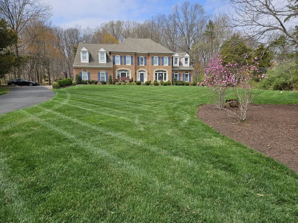 Expert lawn mowing service in Chantilly, VA by Rigo Landscaping