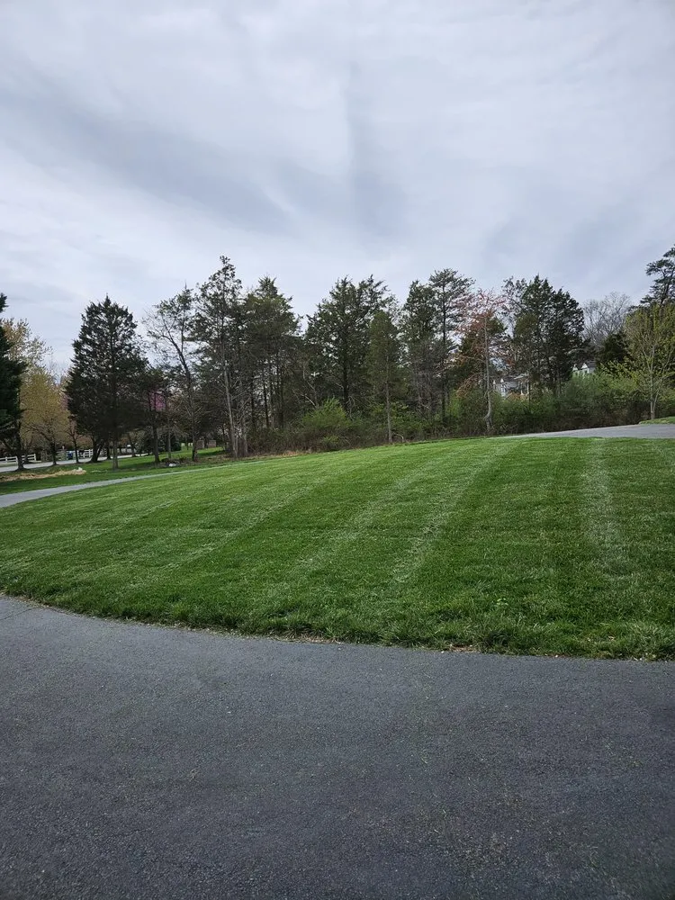 Local yard cleanup service for year-round maintenance in Chantilly, VA by Rigo Landscaping