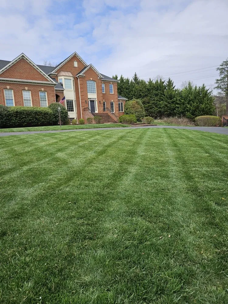 Top-rated residential landscaping in Chantilly, VA - Rigo Landscaping