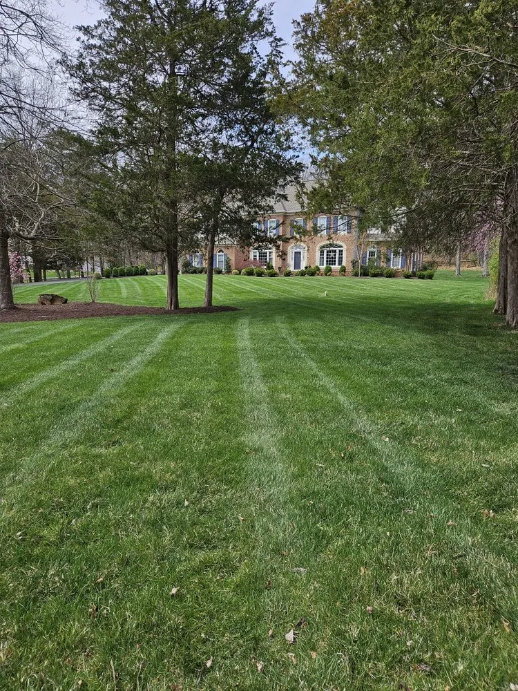 Top-rated yard maintenance experts serving Chantilly, VA - Rigo Landscaping