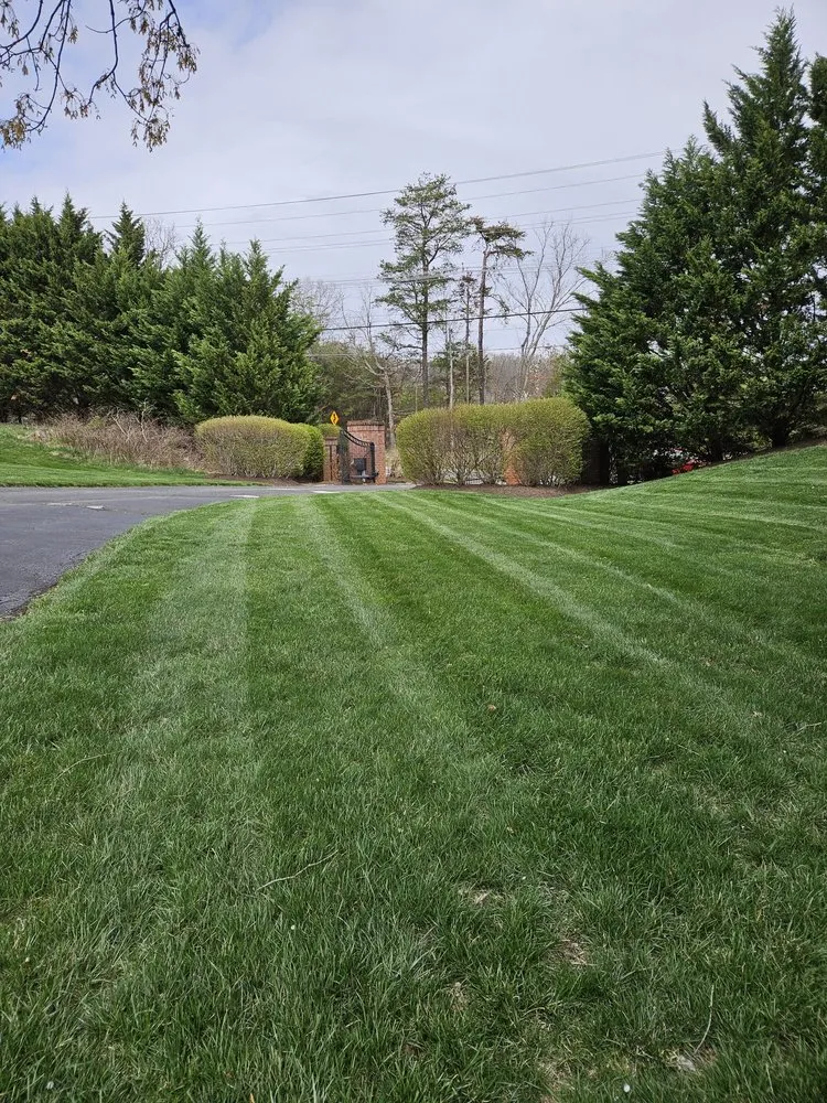 Expert garden landscaping for year-round maintenance in Chantilly, VA by Rigo Landscaping