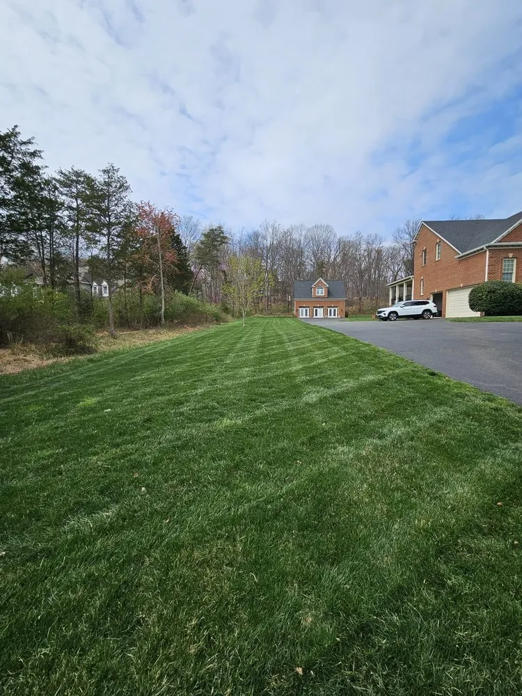 Professional landscape design in Chantilly, VA - Rigo Landscaping