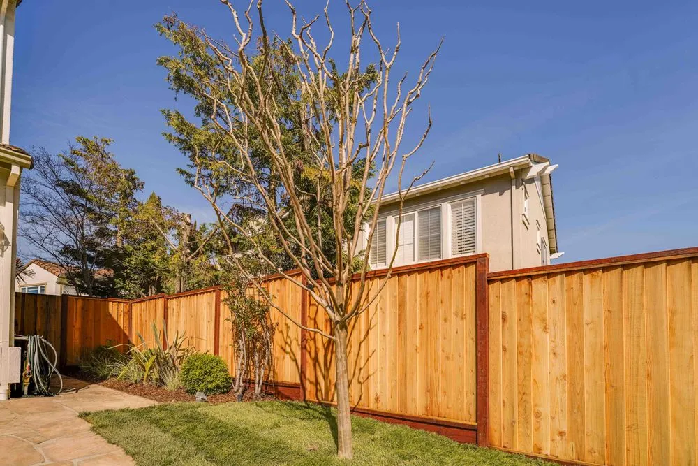 Expert landscaping services in Petaluma, CA - Rigo Landscaping