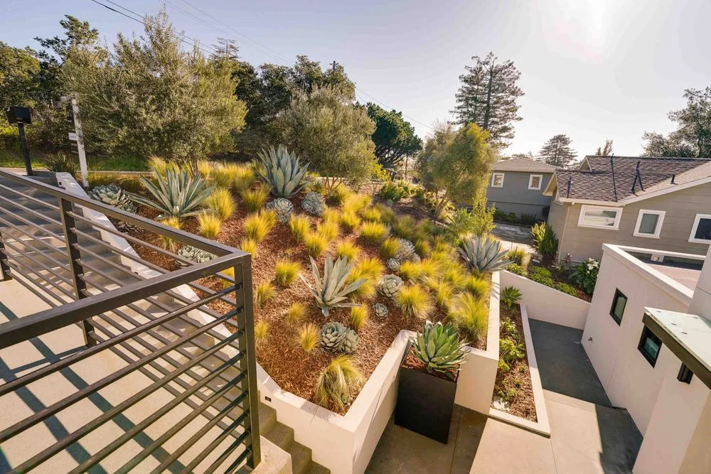 Local landscape design near you across Petaluma, CA - Rigo Landscaping