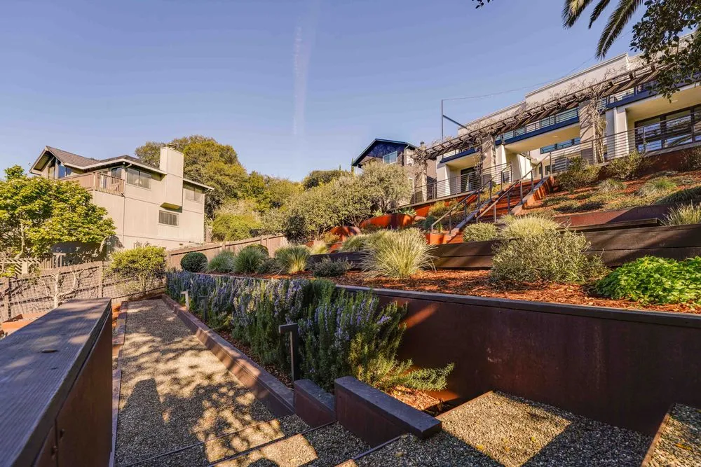 Expert landscaping services experts serving Petaluma, CA - Rigo Landscaping