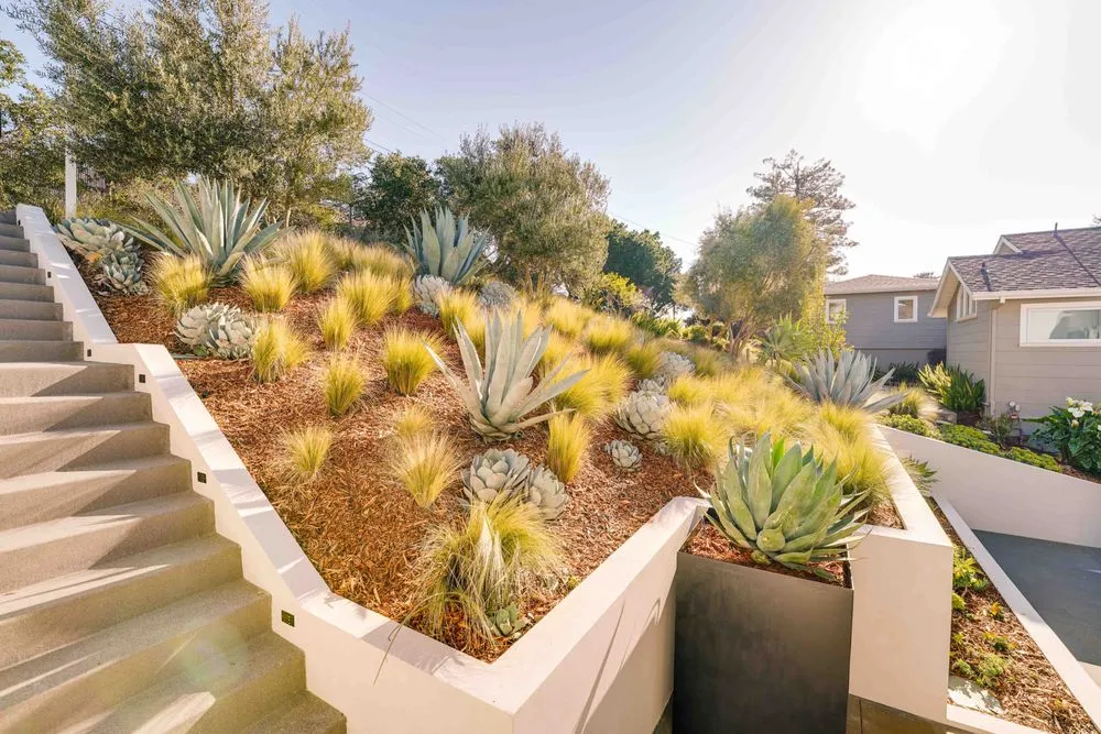 Trusted outdoor landscaping in Petaluma, CA by Rigo Landscaping