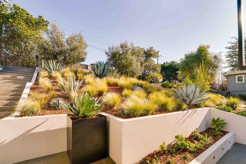 Top-rated landscape design experts serving Petaluma, CA - Rigo Landscaping