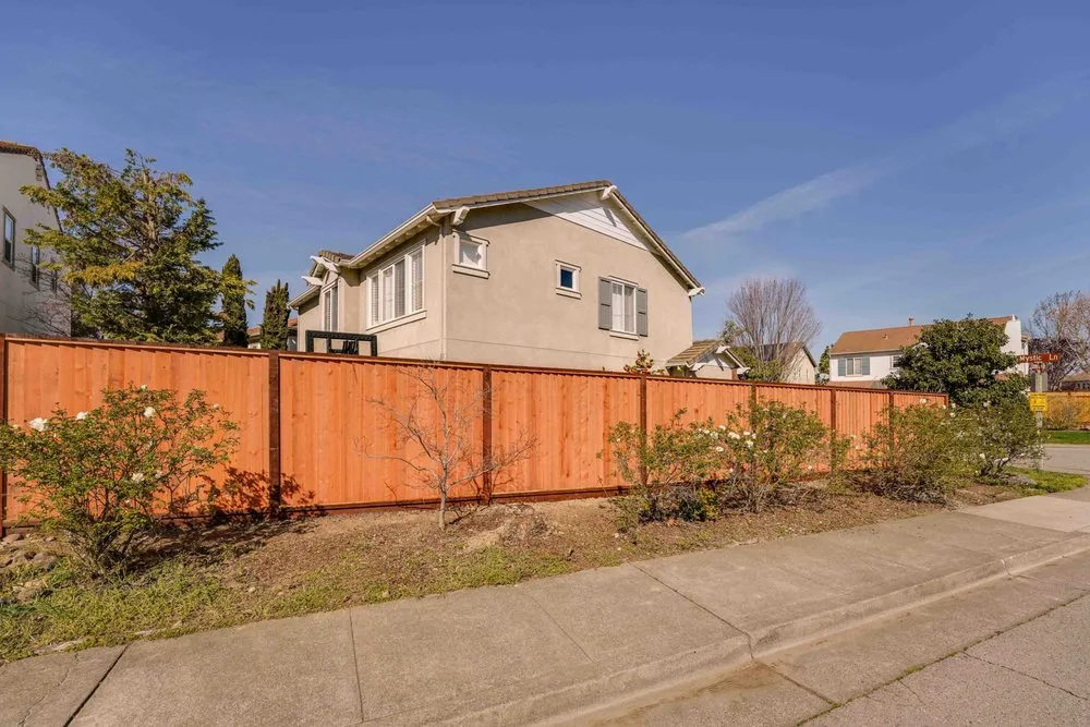 Top-rated yard cleanup service for homes across Petaluma, CA - Rigo Landscaping