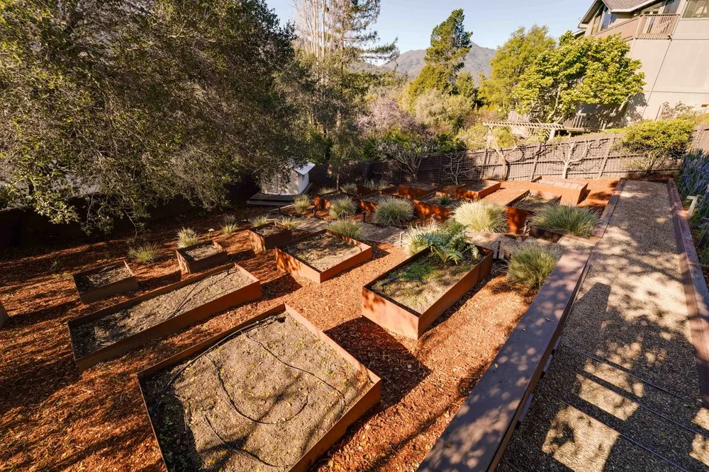 Reliable landscaping services for residential properties in Petaluma, CA by Rigo Landscaping