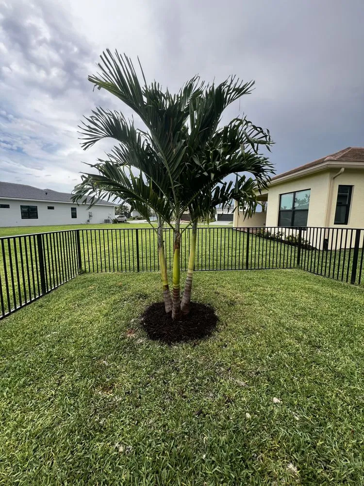 Expert outdoor landscaping in West Palm Beach, FL - Rigo Landscaping