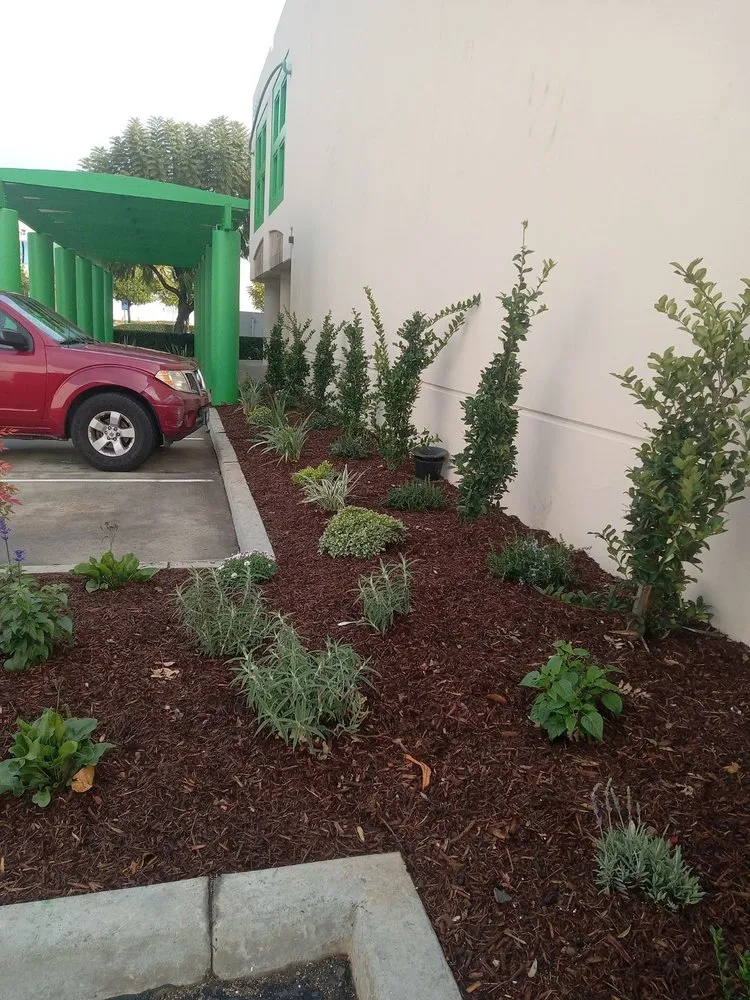 Local landscaping services for outdoor upgrades in El Monte, CA by Rigoberto's Landscape Services