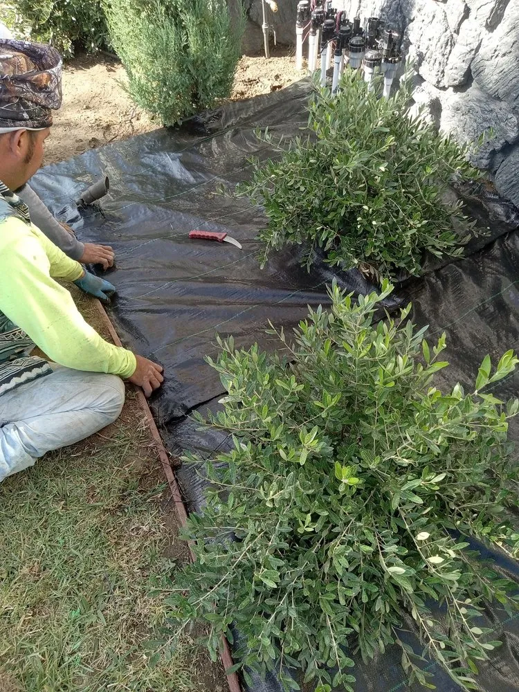 Affordable landscape installation experts serving El Monte, CA - Rigoberto's Landscape Services
