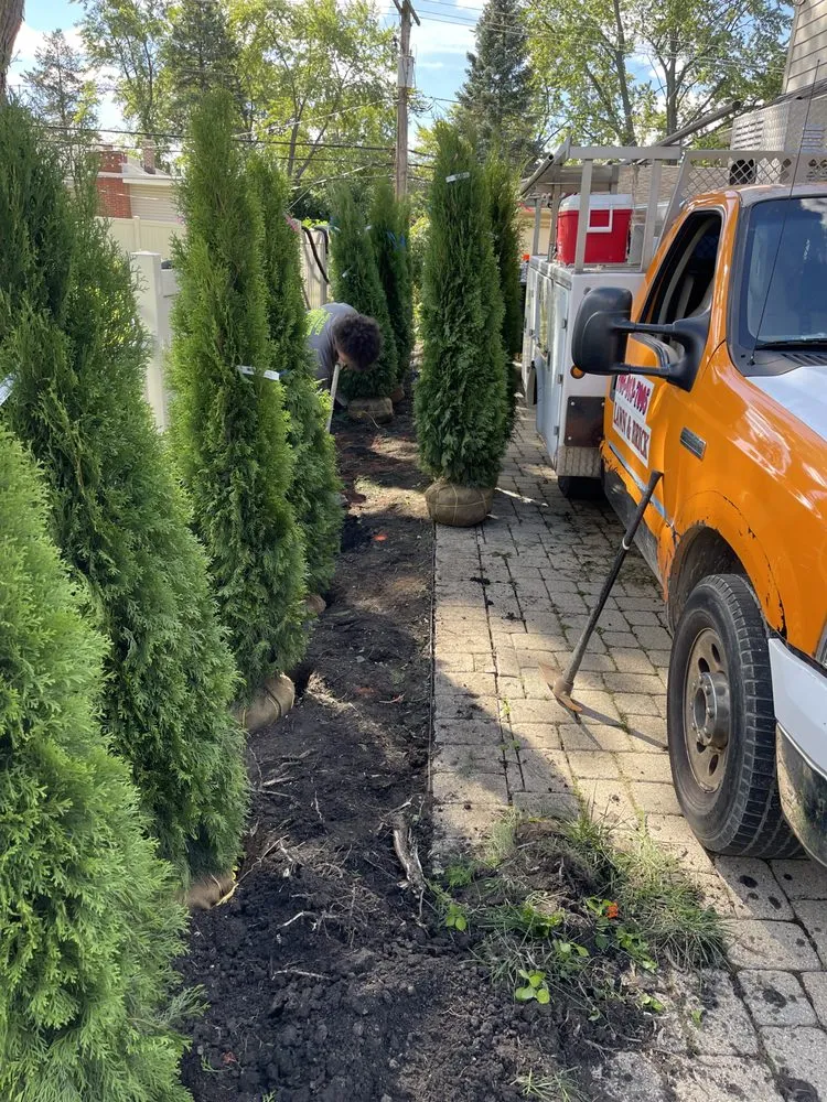 Reliable yard cleanup service experts serving Chicago, IL - Rigoberto's Landscaping & Brick Paving