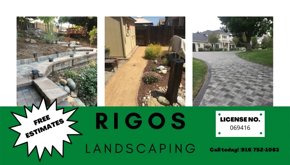 Reliable lawn mowing service for year-round maintenance across Sacramento, CA - Rigos Landscaping