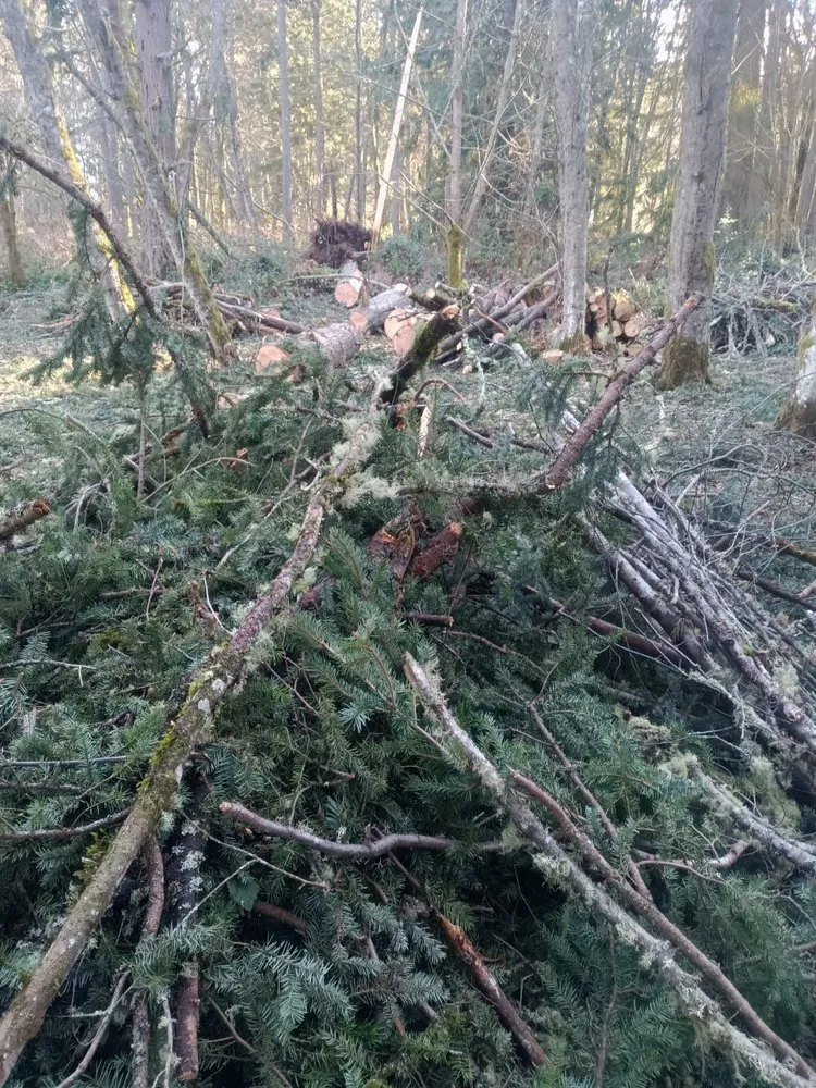 Reliable yard maintenance for outdoor upgrades in Vashon, WA by Rigos Landscaping