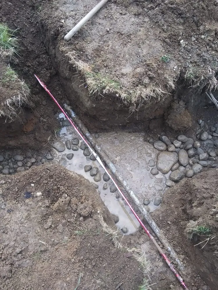 Expert lawn mowing service with custom design across Vashon, WA - Rigos Landscaping