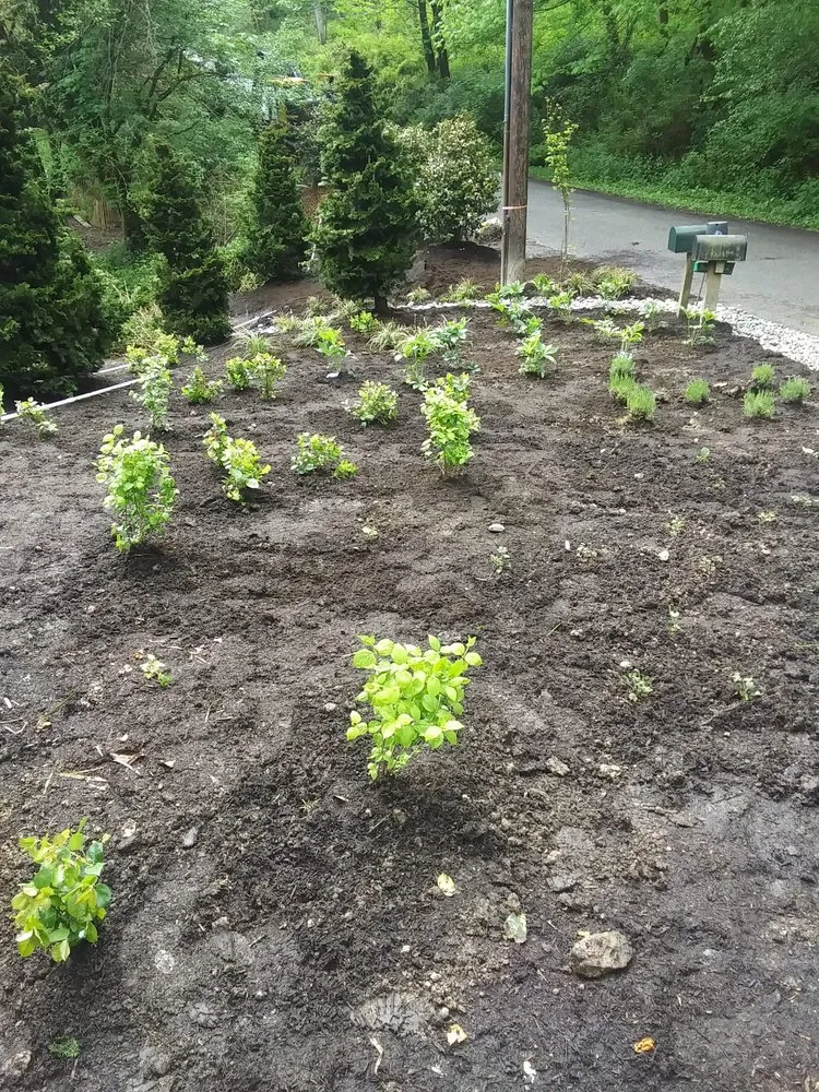 Custom landscape design experts serving Vashon, WA - Rigos Landscaping