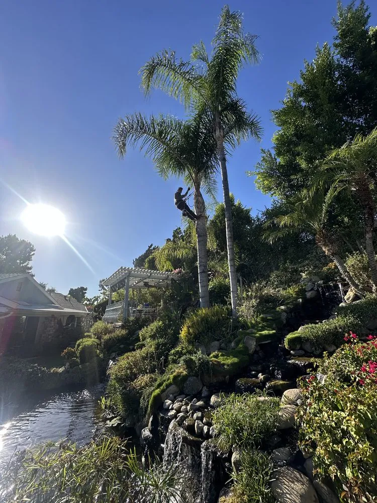 Trusted landscape installation with custom design in San Fernando, CA by Rigo’s Lawn Care & Tree Service