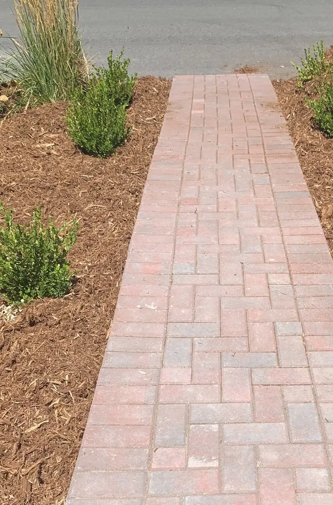 Affordable residential landscaping experts serving Reno, NV - Rigo's Lawn Service