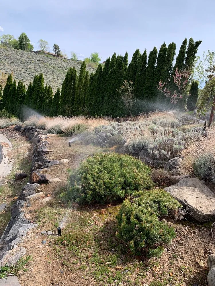 Top-rated landscape design in Reno, NV by Rigo's Lawn Service
