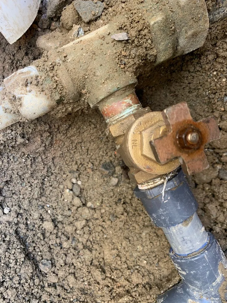 Trusted lawn mowing service in Reno, NV - Rigo's Lawn Service