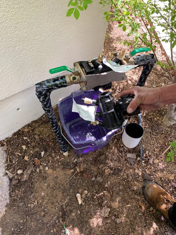 Trusted yard maintenance experts serving Reno, NV - Rigo's Lawn Service