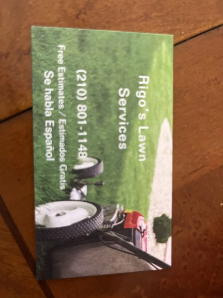 Professional landscape installation experts serving San Antonio, TX - Rigo’s Lawn Services