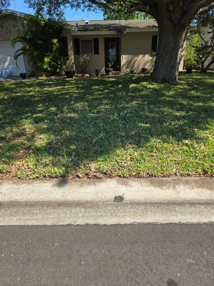 Reliable yard maintenance in Tampa Bay, FL by Rigo's Lawncare and More