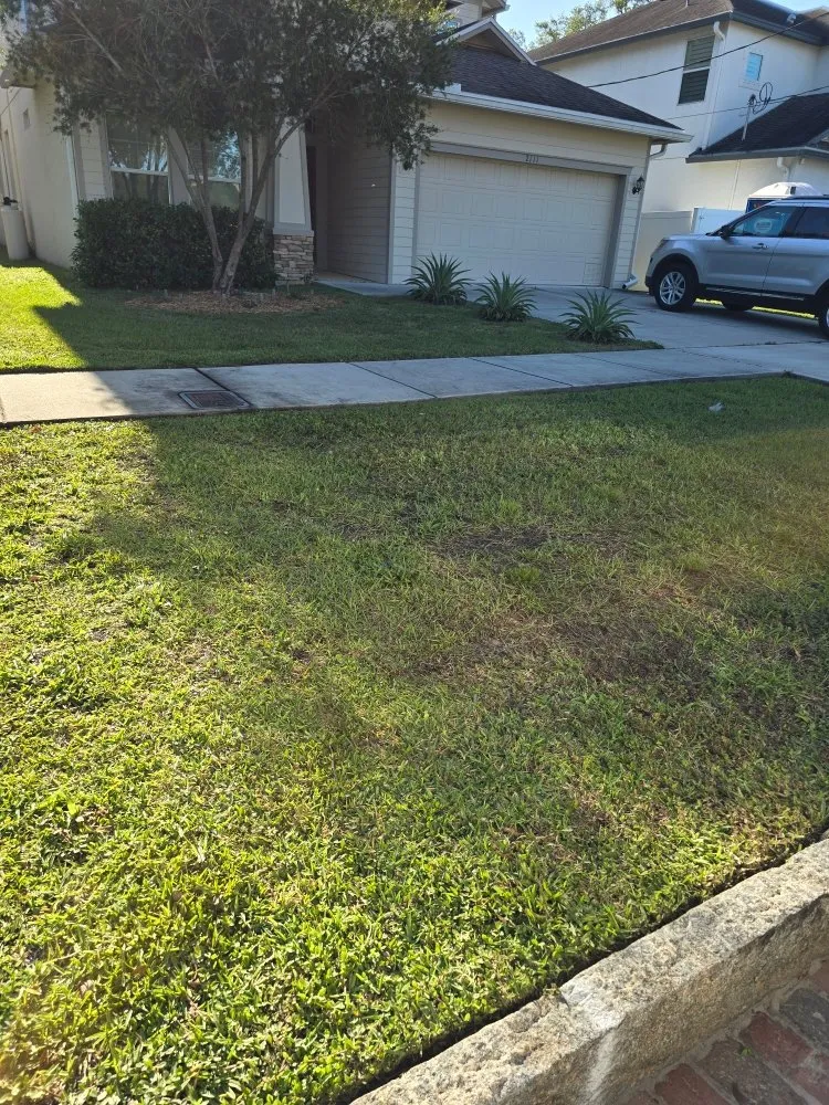 Local yard maintenance in Tampa Bay, FL by Rigo's Lawncare and More