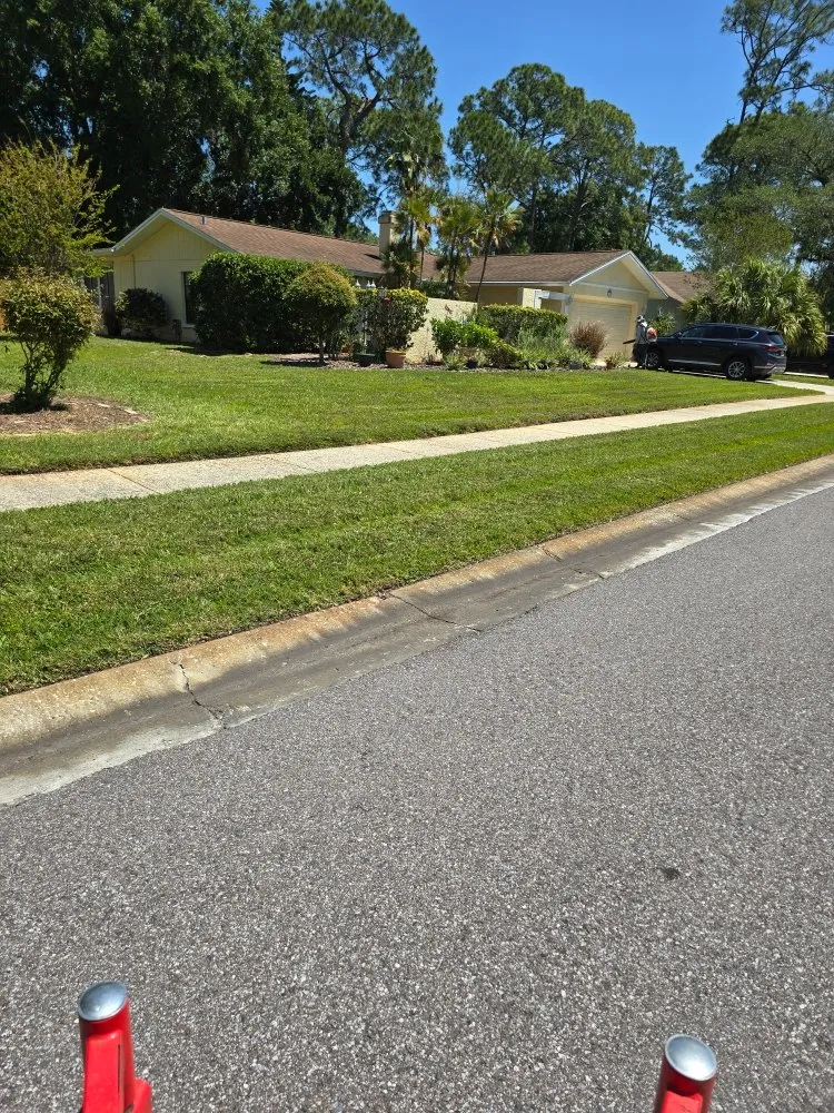 Local lawn mowing service experts serving Tampa Bay, FL - Rigo's Lawncare and More