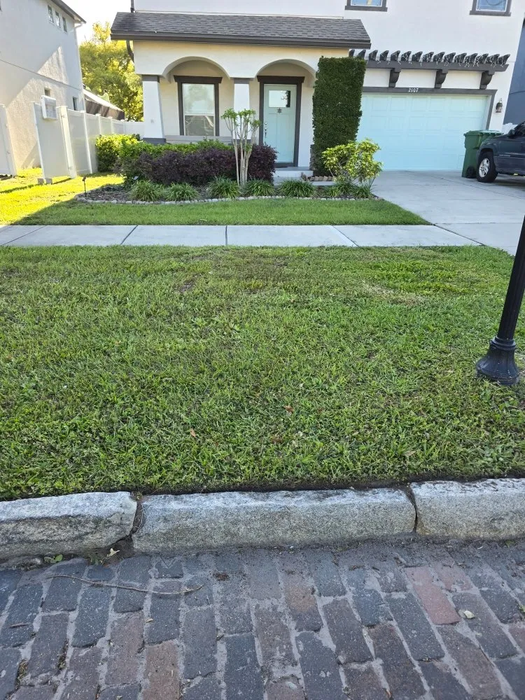Local landscape design for homes across Tampa Bay, FL - Rigo's Lawncare and More