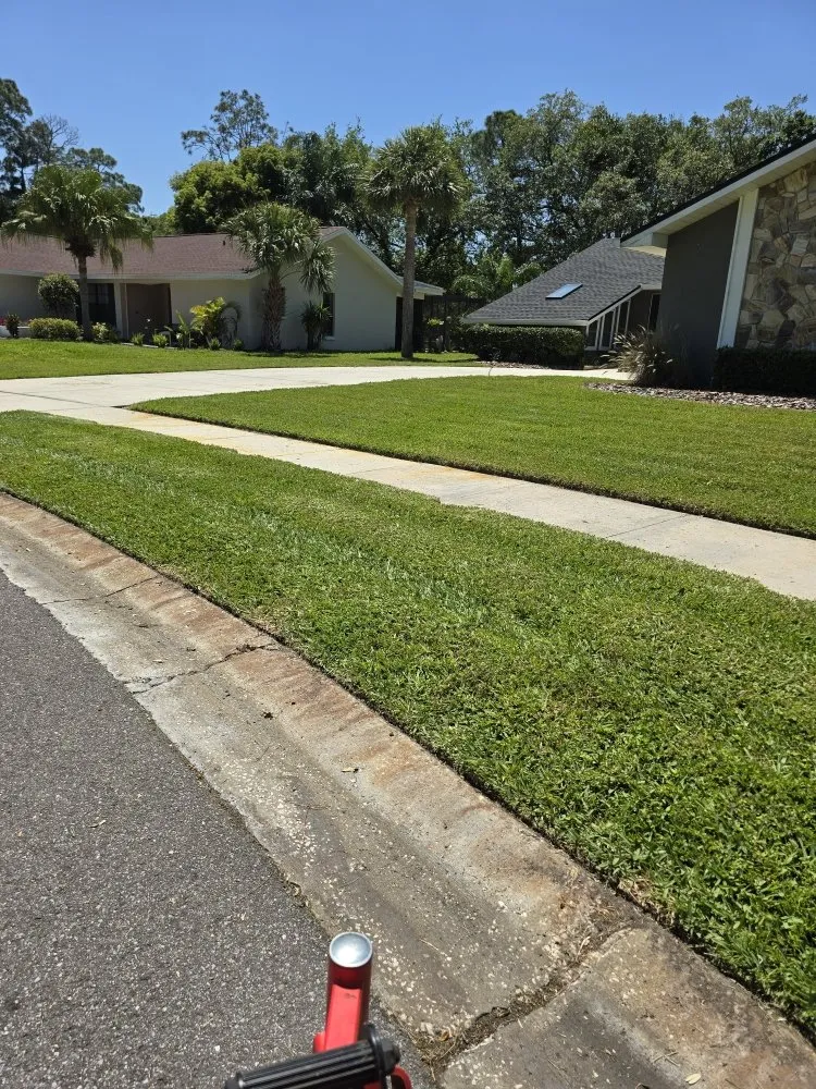 Top-rated yard cleanup service with custom design in Tampa Bay, FL by Rigo's Lawncare and More