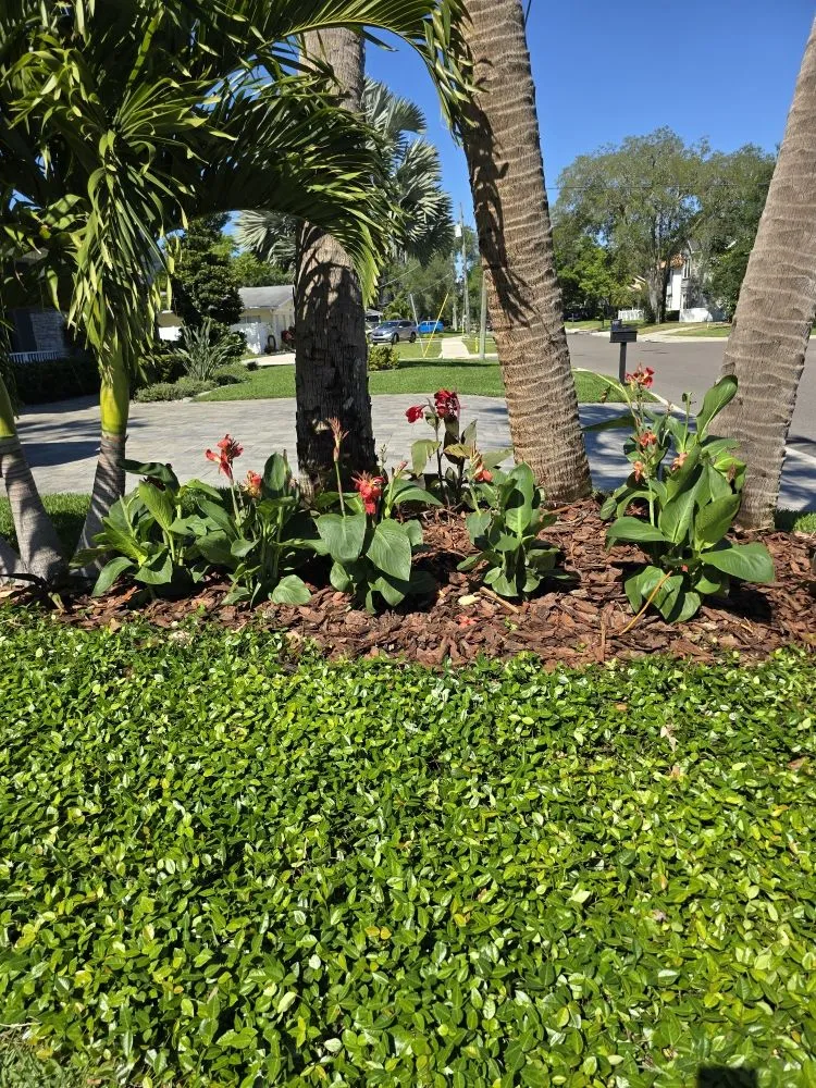 Trusted garden landscaping experts serving Tampa Bay, FL - Rigo's Lawncare and More
