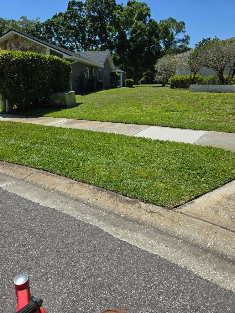 Local landscaping services for residential properties in Tampa Bay, FL by Rigo's Lawncare and More