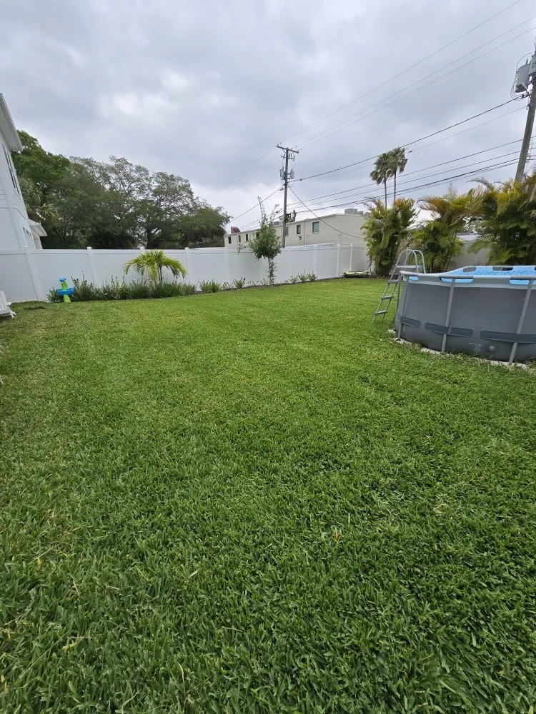 Affordable lawn mowing service for outdoor upgrades in Tampa Bay, FL by Rigo's Lawncare and More