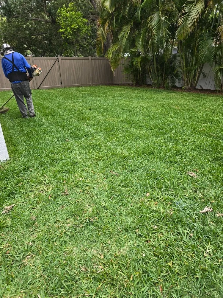 Reliable yard cleanup service in Tampa Bay, FL - Rigo's Lawncare and More