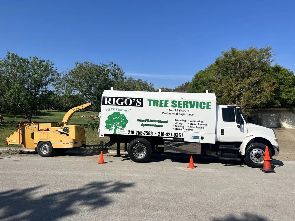 Expert landscape installation in San Antonio, TX by Rigo's Tree Service
