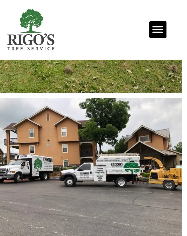 Affordable garden landscaping for beautiful yards across San Antonio, TX - Rigo's Tree Service