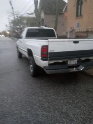 Rik and Sons Lawn Services Logo