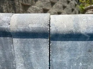 Local lawn care service in Chattanooga, TN - Riley Construction & Hardscapes