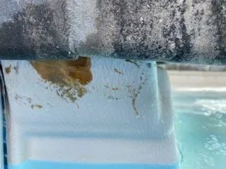 Professional yard cleanup service in Chattanooga, TN - Riley Construction & Hardscapes