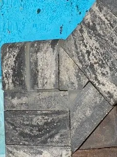 Affordable landscaping services for year-round maintenance in Chattanooga, TN by Riley Construction & Hardscapes